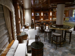 Caribbean Princess Vines Bar picture