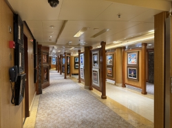 Sapphire Princess Fine Arts Gallery picture