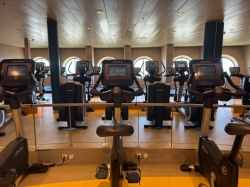 Harmony of the Seas Vitality at Sea Spa and Fitness Center picture