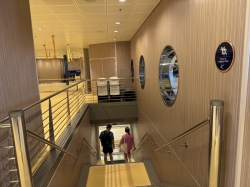 Harmony of the Seas Vitality at Sea Spa and Fitness Center picture