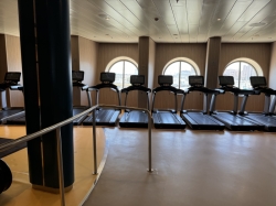 Harmony of the Seas Vitality at Sea Spa and Fitness Center picture