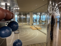 MSC Seaside MSC Gym picture