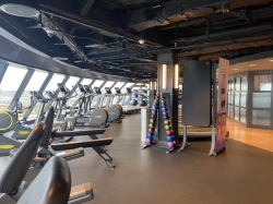 Norwegian Viva Pulse Fitness Center picture