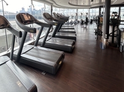 MSC Meraviglia MSC Gym by Technogym picture