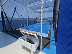 Paddle Tennis picture