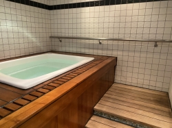 Norwegian Jade Thermal Suite picture