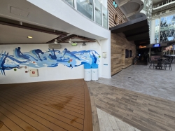 Oasis of the Seas Boardwalk picture