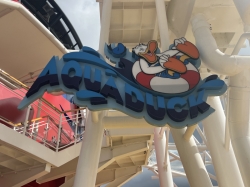 Disney Dream AquaDuck picture