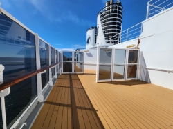 Noordam Observation walkway picture