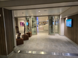 Harmony of the Seas Vitality at Sea Spa and Fitness Center picture