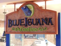 Blue Iguana Cantina picture