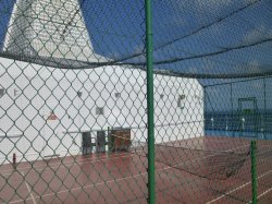 Paddle Tennis picture