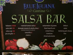 Carnival Freedom Blue Iguana Cantina picture