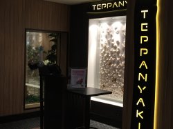 Norwegian Escape Teppanyaki picture