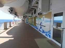 Norwegian Star Promenade picture