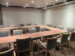 Norwegian Star Meeting Room picture