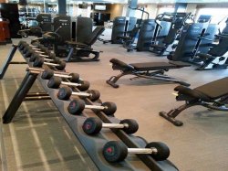 Crystal Serenity Fitness Center picture