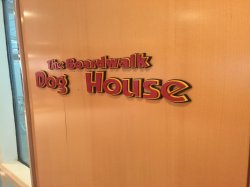 Boardwalk Dog House picture