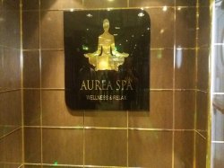 MSC Poesia MSC Aurea Spa picture