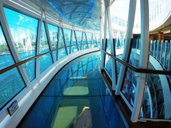 Regal Princess SeaWalk picture