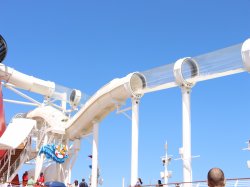 AquaDuck picture