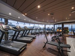 MSC Meraviglia MSC Gym by Technogym picture