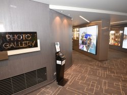 MSC Meraviglia Photo Gallery picture