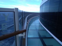 MSC Seaside Infinity Bridge picture