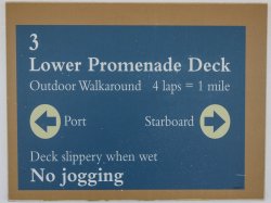 Zaandam Promenade Deck picture