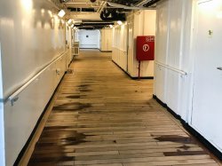 Zaandam Promenade Deck picture