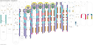 Wonder of the Seas deck plans